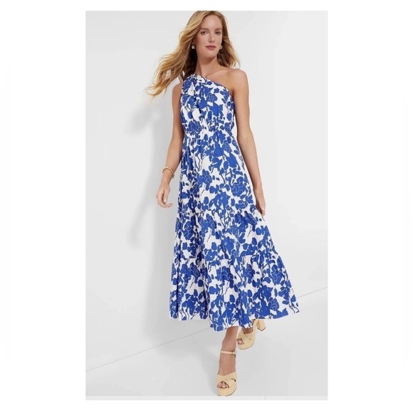 Hyacinth House Sybil Maxi Dress XXS Blue Floral One Shoulder Cotton Lined NWT - Picture 11 of 16